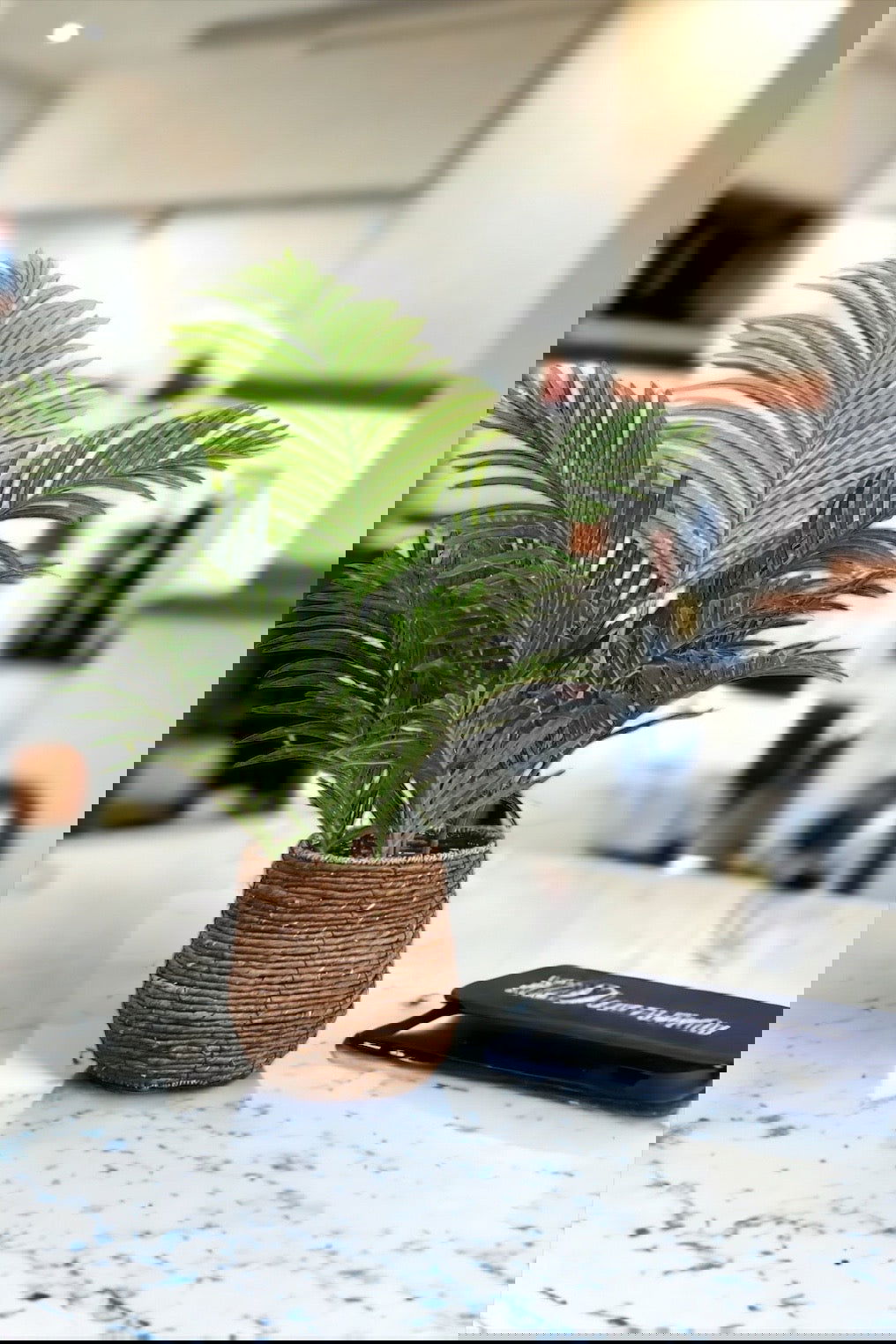 Artificial Majestic Palm Tree - Graceland Home and Living -  - #tag1#