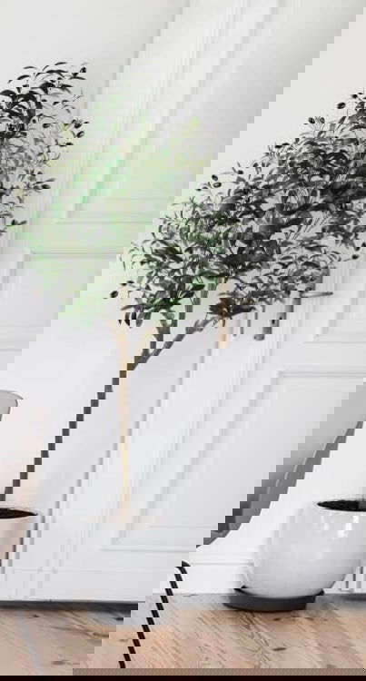 Artificial Olive Tree 5ft (60'') Tall Fake Plants Suitable for  Indoor & Outdoor - Graceland Home and Living -  