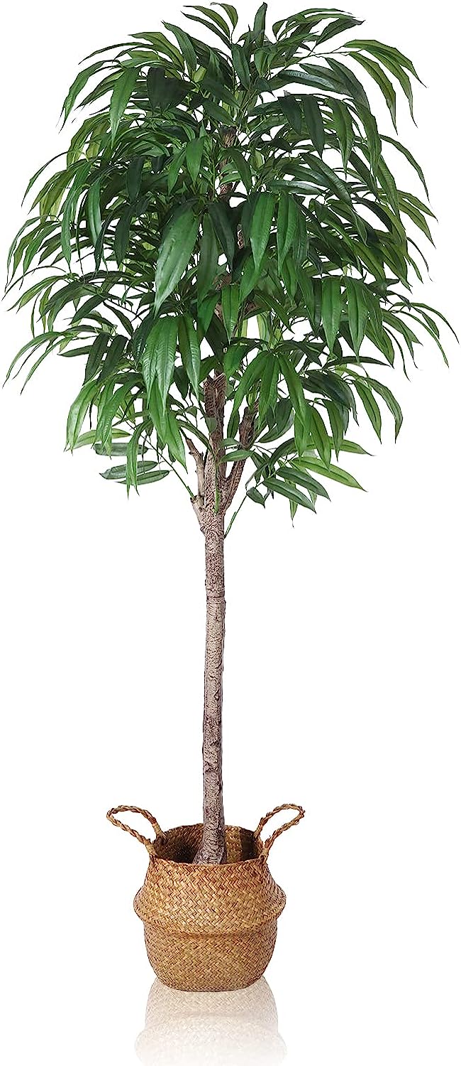 Artificial Slim 4Ft Mango Tree, for Indoor Decor - Graceland Home and Living -  - #tag1#