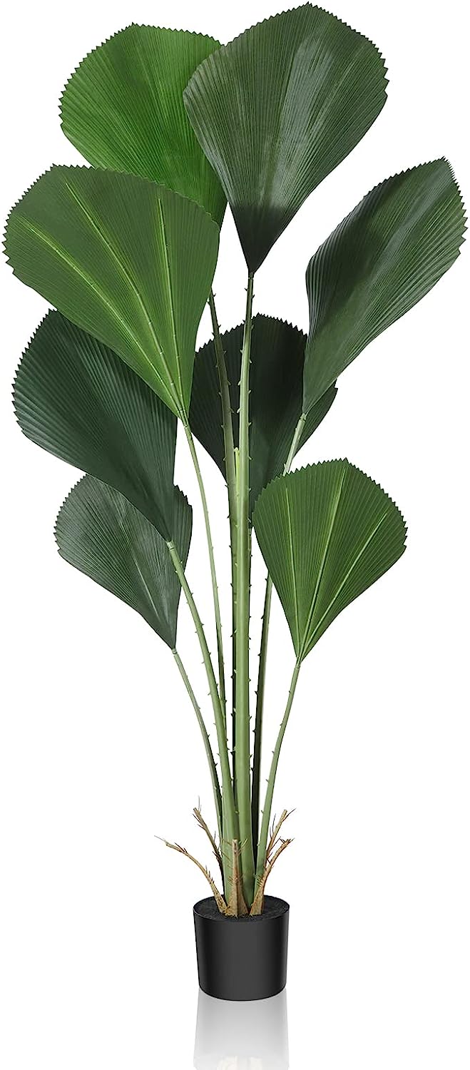 Artificial Sumatra Palm Tree 5.3FT Tall  Faux Palm Plants for Indoor/outdoor - Graceland Home and Living -  