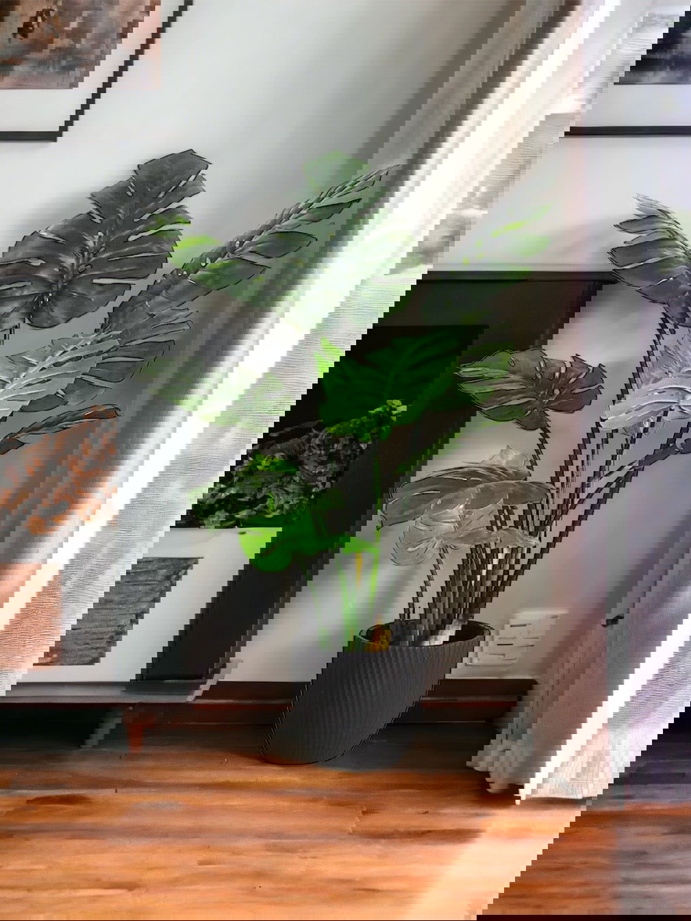 Artificial Tree Monstera Deliciosa -Tropical Palm Tree - Graceland Home and Living -  