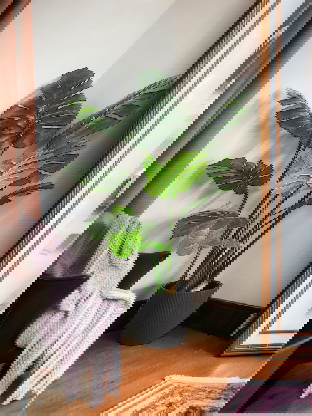 Artificial Tree Monstera Deliciosa -Tropical Palm Tree - Graceland Home and Living -  - #tag1#