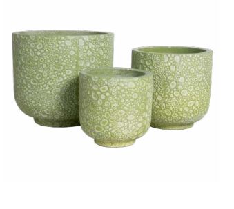 Cement Flower Pot- The Bubble collection - Graceland Home and Living -  