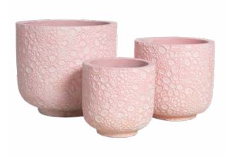 Cement Flower Pot- The Bubble collection - Graceland Home and Living -  