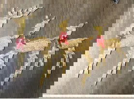 Christmas Deer Lighting - Graceland Home and Living -  