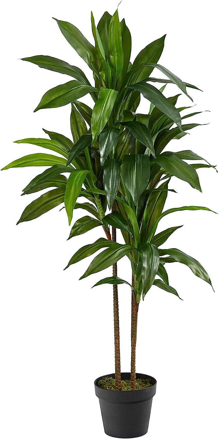 Decorative Dracaena Silk Plant, 43-Inch, Green with 64 leaves Graceland Home and Living