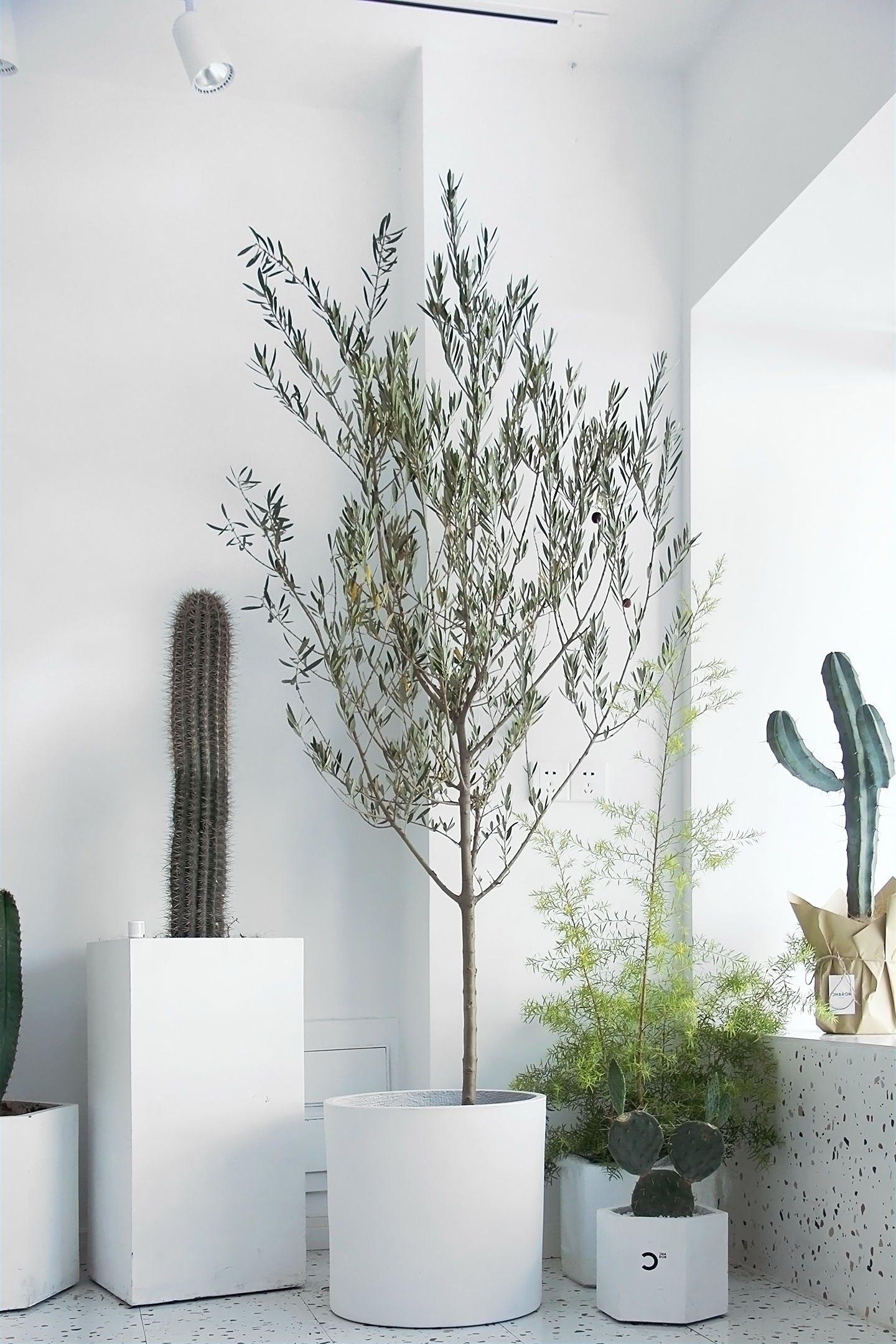 European Style Indoor Outdoor White Concrete Planter - Graceland Home and Living -  