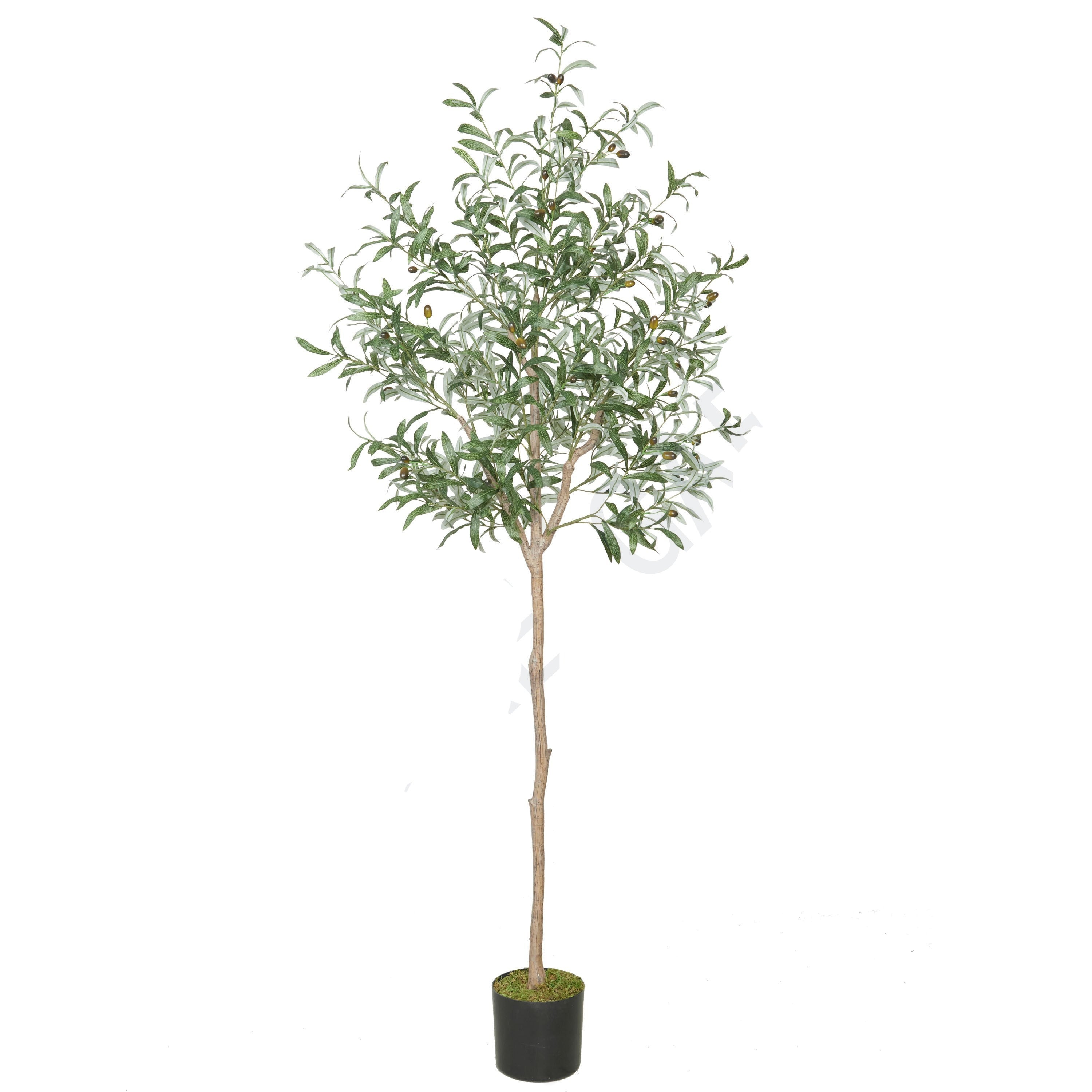 Faux Olive Tree Plant Detachable Fake Tree Indoor Decoration Graceland Home and Living