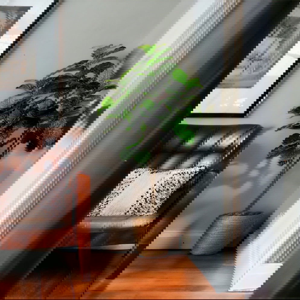 Faux Fiddle Leaf Fig Tree in a plastic nursery pot - Graceland Home and Living -  