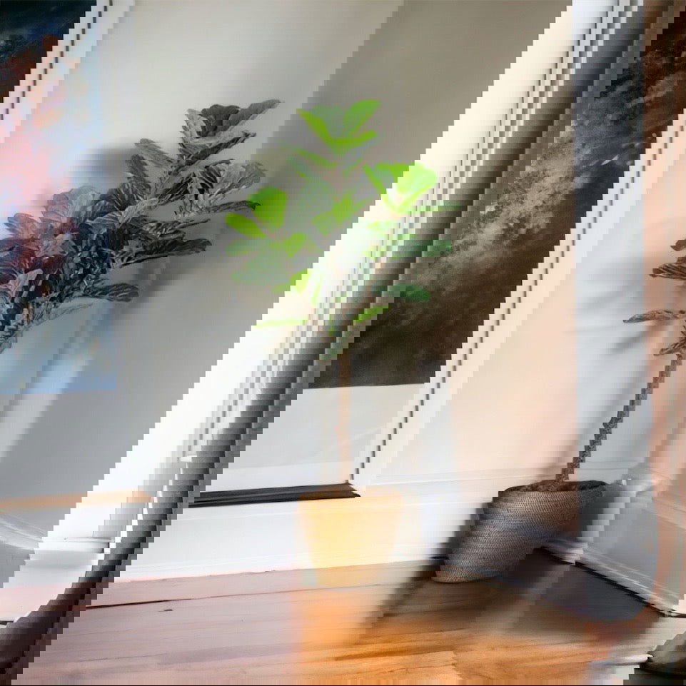 Faux Fiddle Leaf Fig Tree in a plastic nursery pot - Graceland Home and Living -  