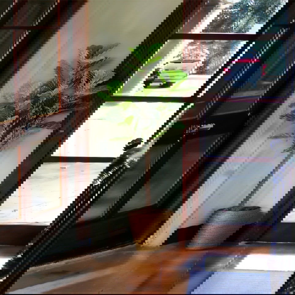 Faux Fiddle Leaf Fig Tree in a plastic nursery pot - Graceland Home and Living -  