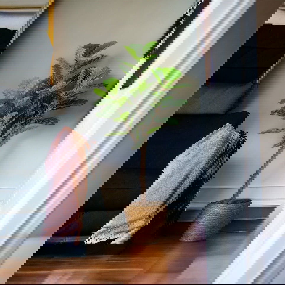 Faux Fiddle Leaf Fig Tree in a plastic nursery pot - Graceland Home and Living -  