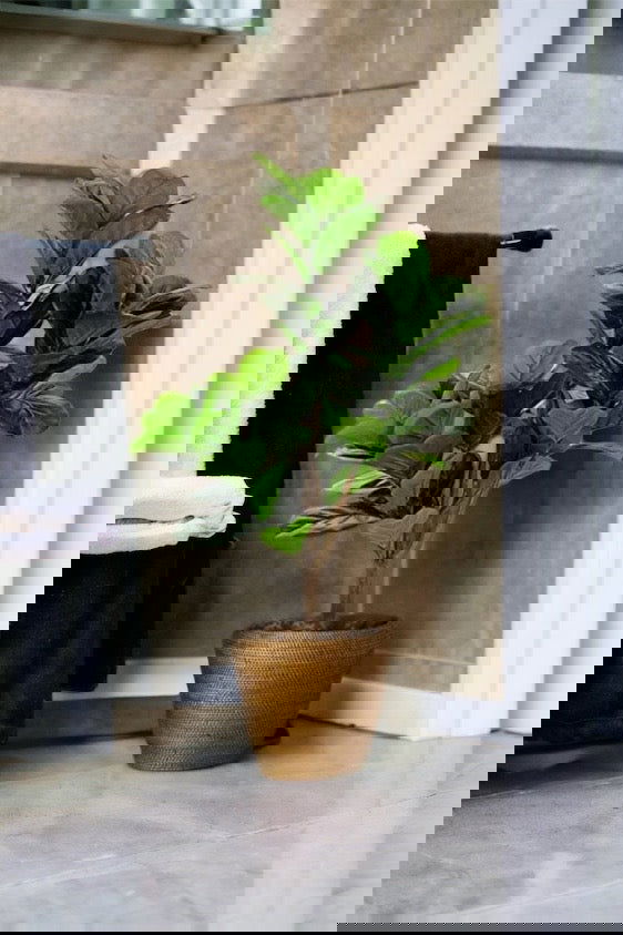 Faux Fiddle Leaf Fig Tree in a plastic nursery pot - Graceland Home and Living -  