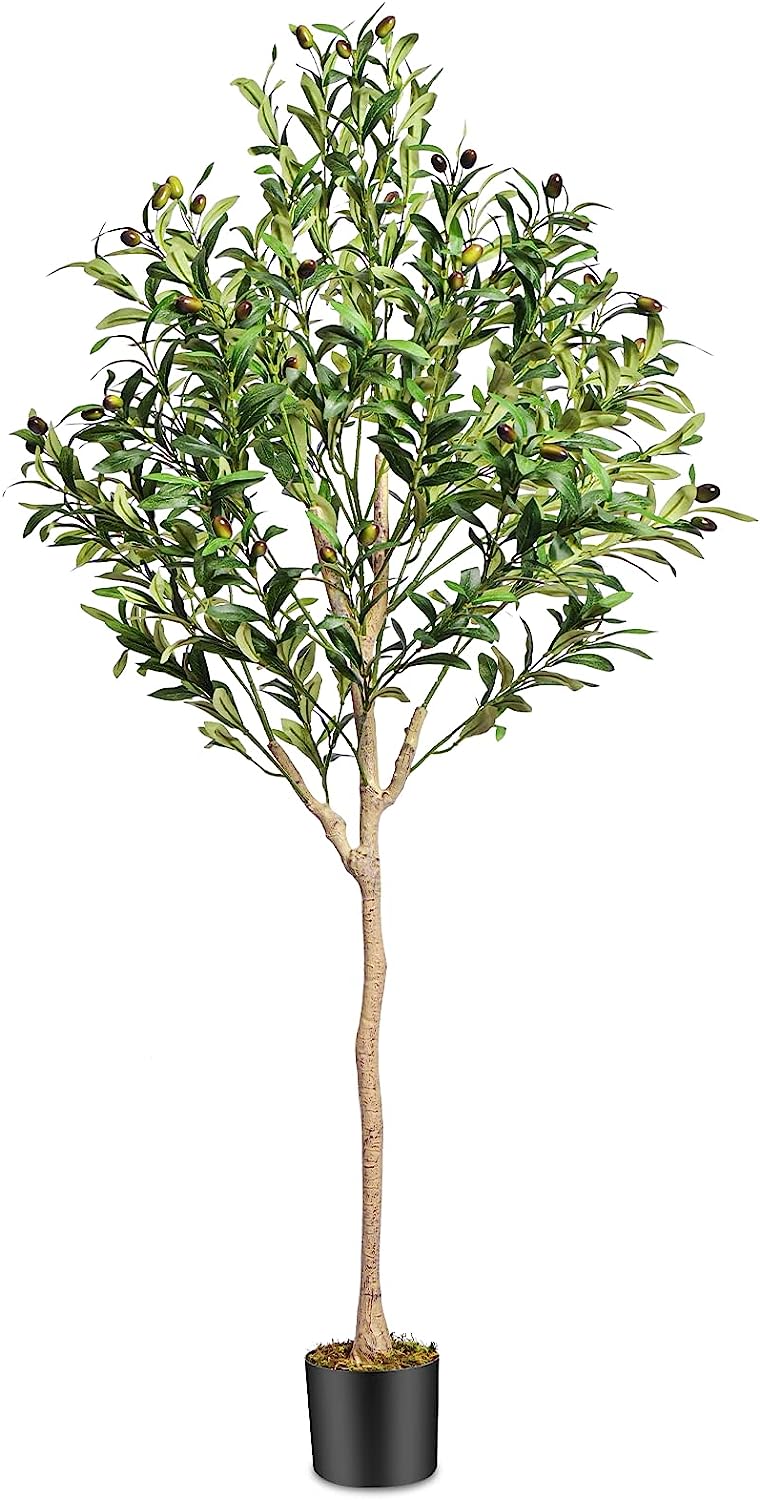 Faux Olive Tree Artificial Indoor 5.3 Feet Tall in Pot with Dried Moss - Graceland Home and Living -  