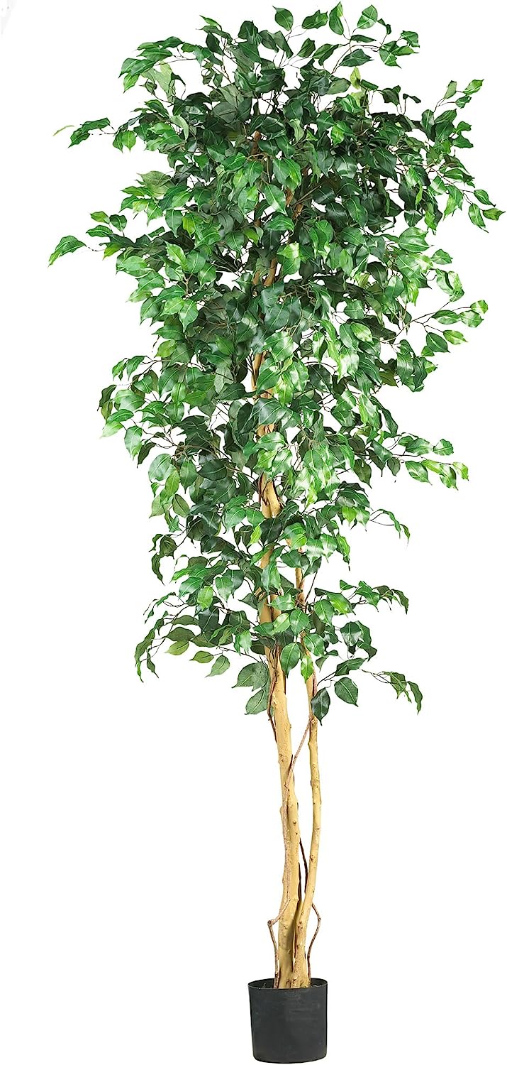 Ficus Silk Tree, 6-Feet, Green, 1008 individual leaves - Graceland Home and Living -  