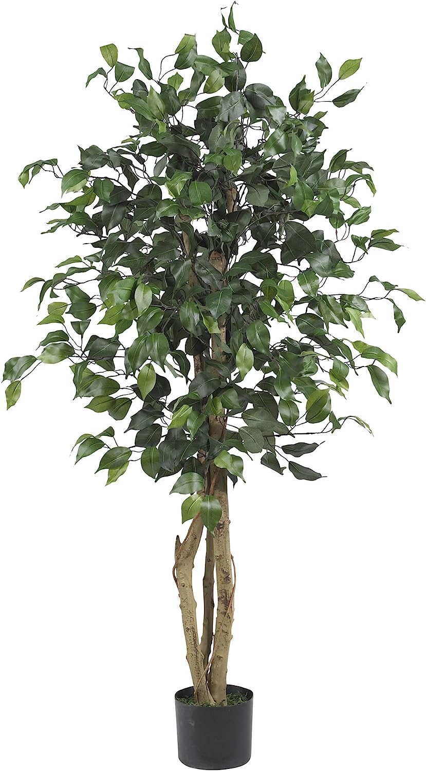 Ficus Silk Tree, 6-Feet, Green, 1008 individual leaves - Graceland Home and Living -  