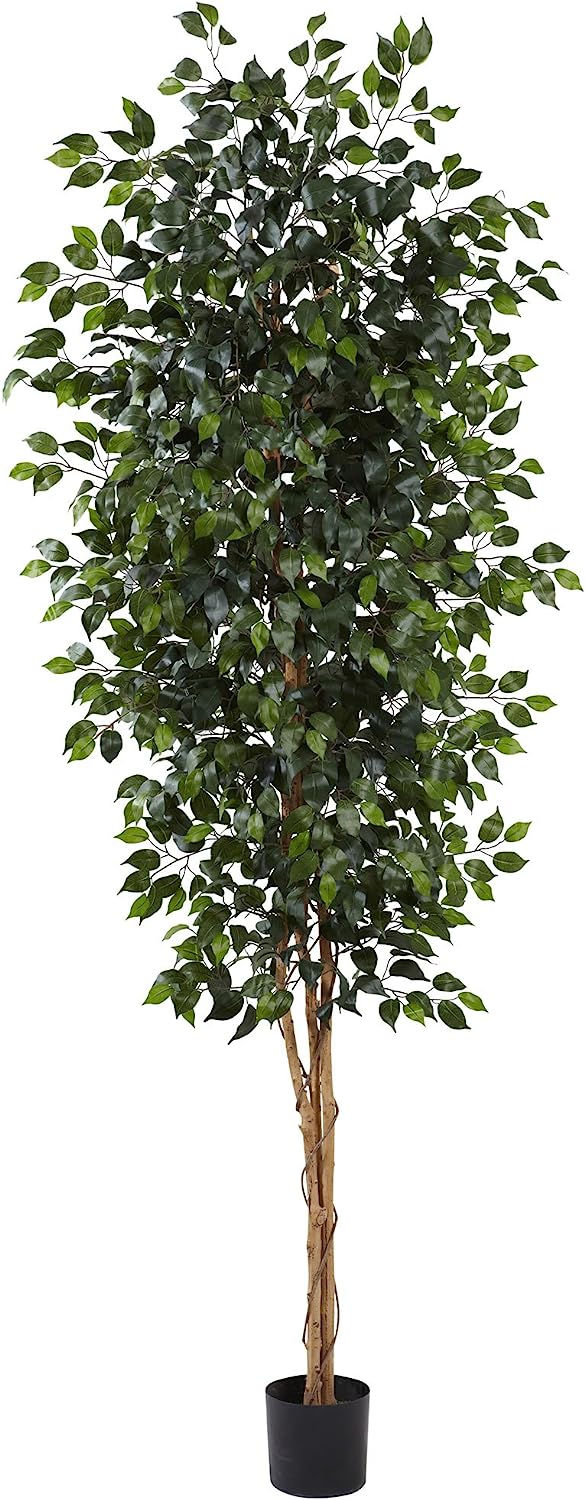Ficus Silk Tree, 6-Feet, Green, 1008 individual leaves - Graceland Home and Living -  