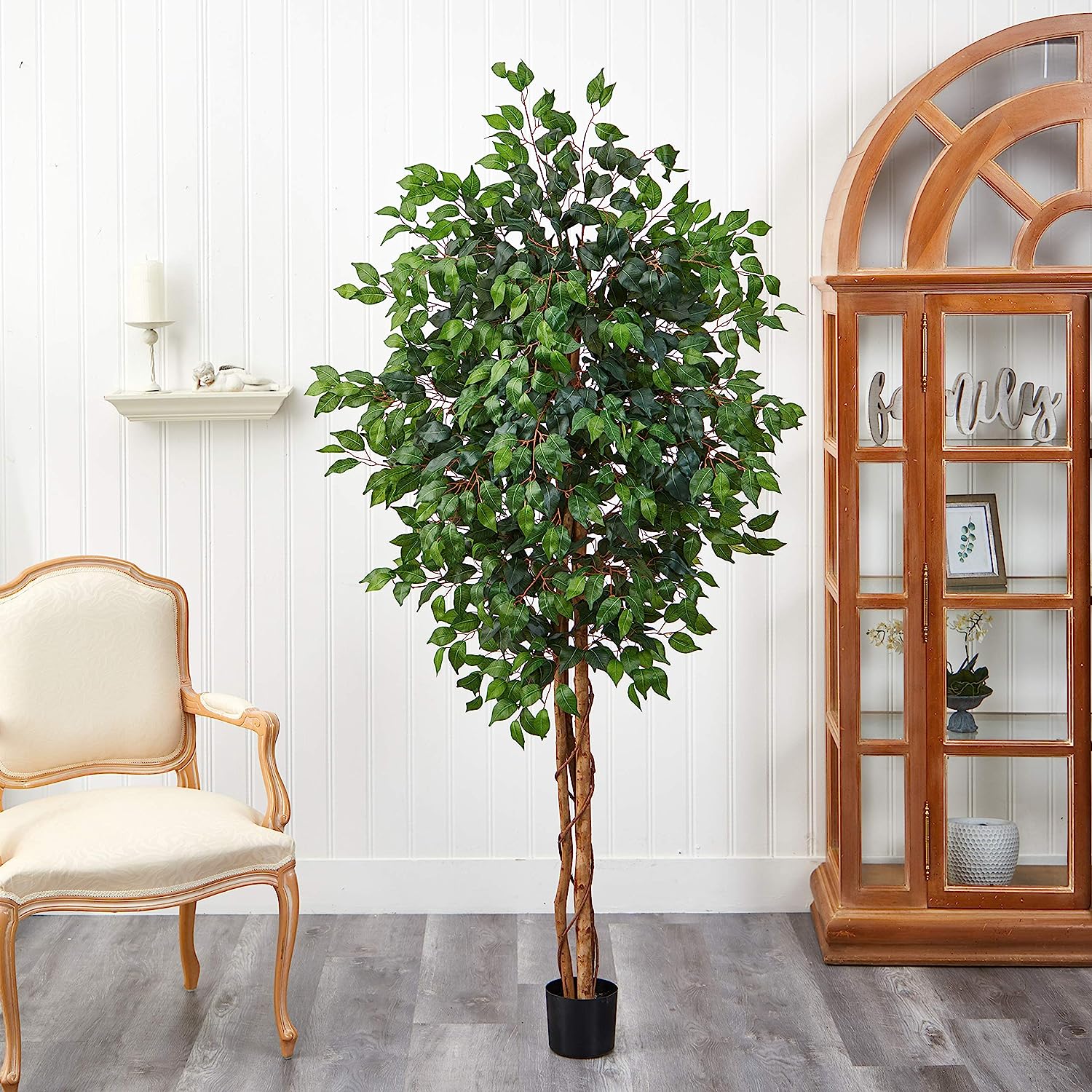 Ficus Silk Tree, 6-Feet, Green, 1008 individual leaves - Graceland Home and Living -  