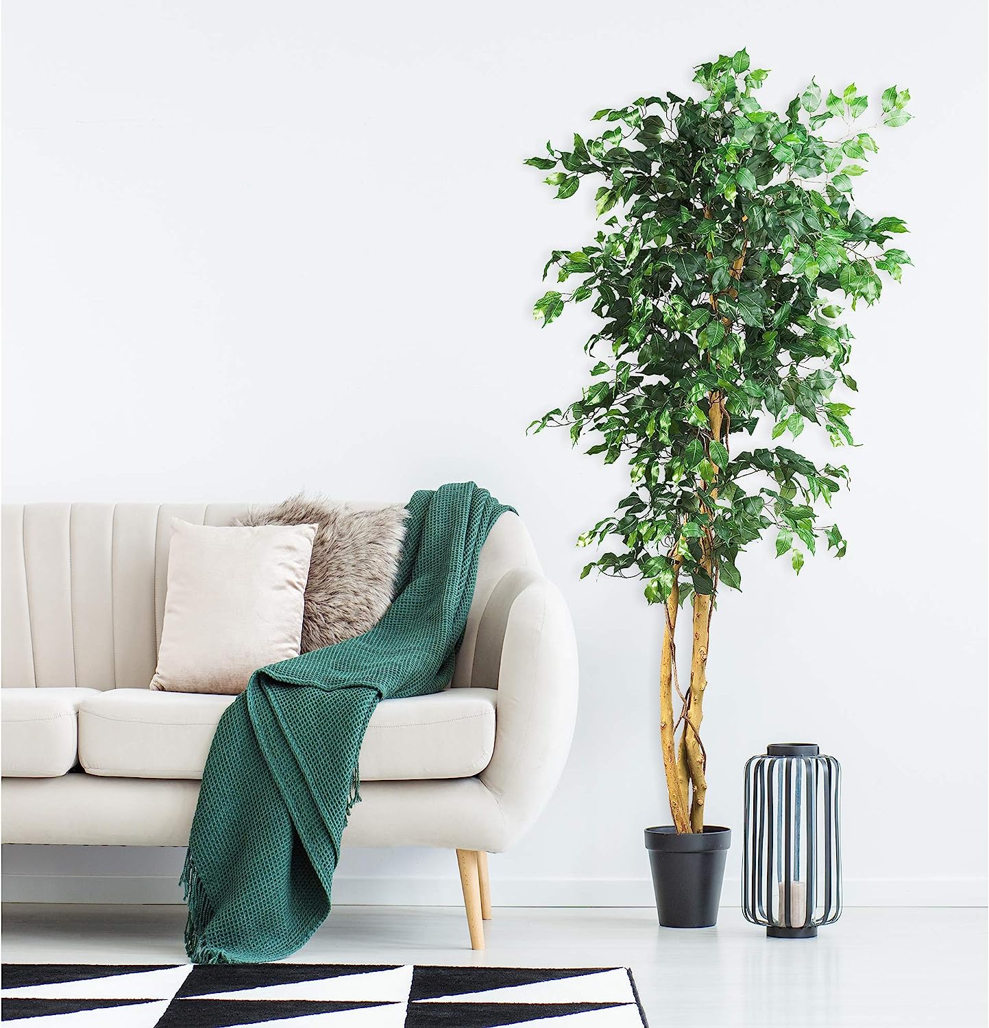 Ficus Silk Tree, 6-Feet, Green, 1008 individual leaves - Graceland Home and Living -  