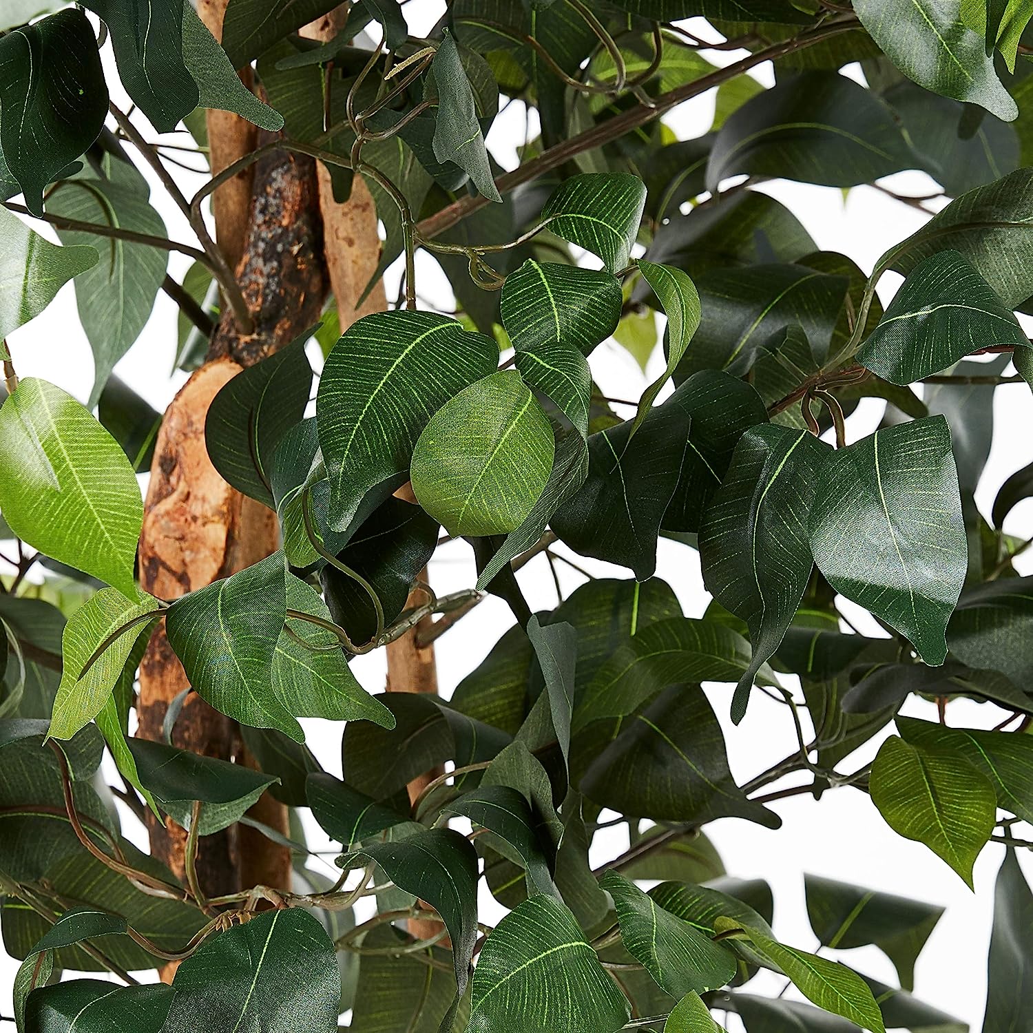 Ficus Silk Tree, 6-Feet, Green, 1008 individual leaves - Graceland Home and Living -  