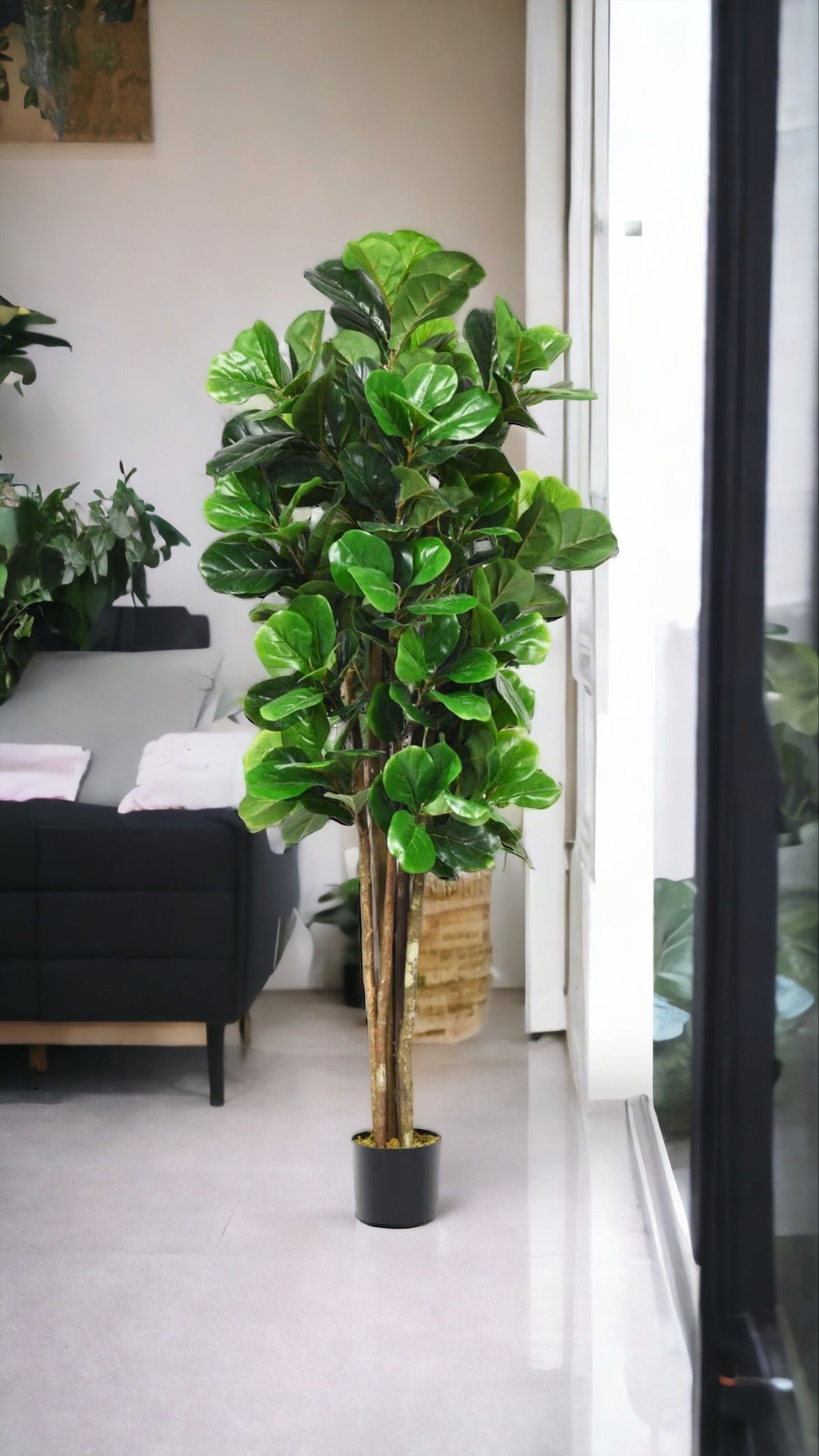 Fiddle Leaf Fig Tree for Indoor Decoration - Graceland Home and Living -  