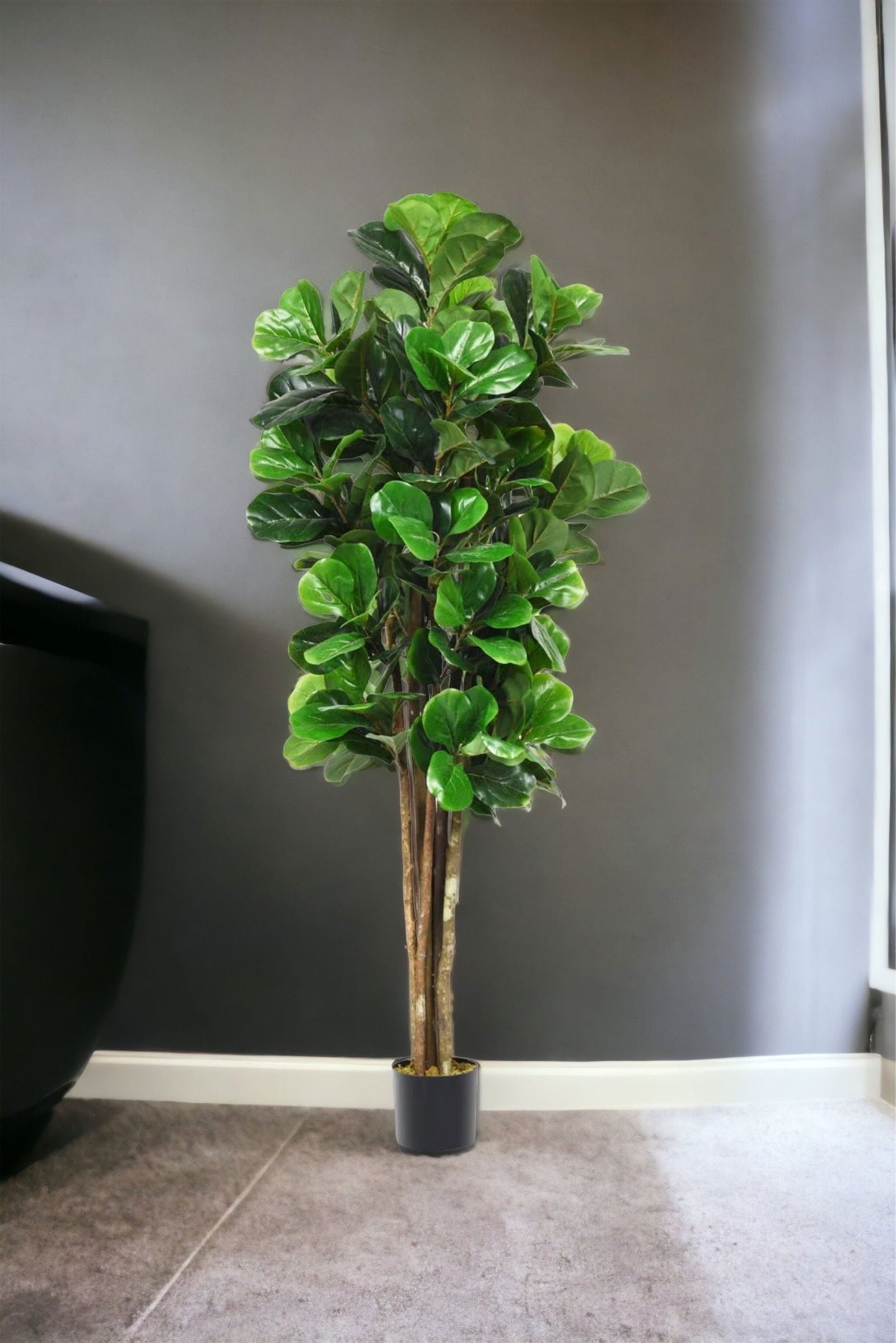 Fiddle Leaf Fig Tree for Indoor Decoration - Graceland Home and Living -  