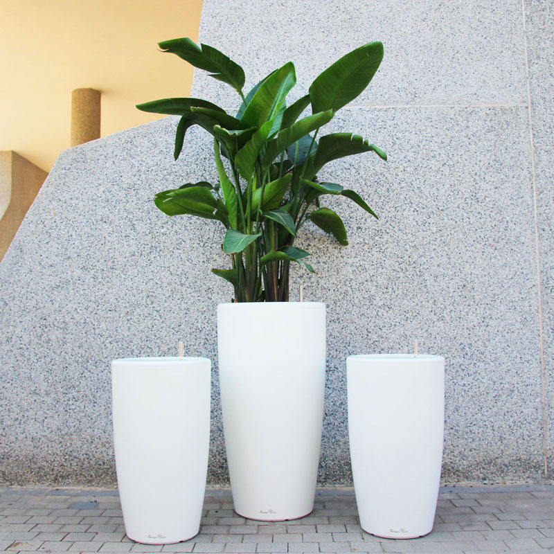 Large Big Stand Square White Plastic Garden Outdoor Planters Flower Plant Pots Graceland Home and Living