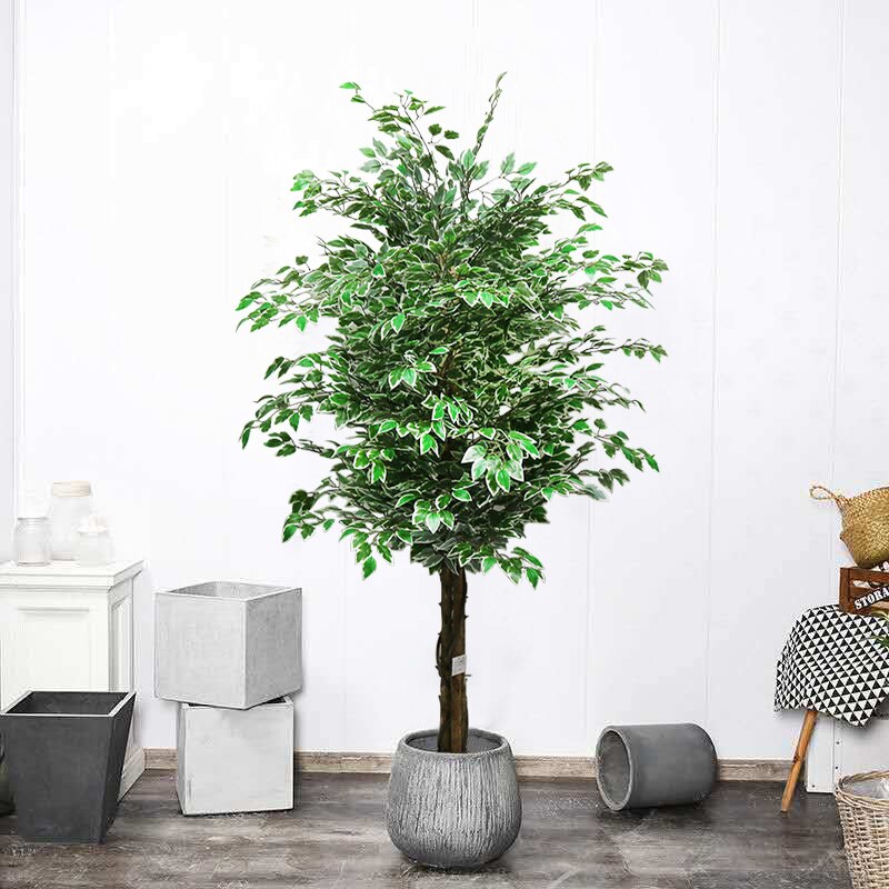 Large Faux Bayan Tree 165cm Artificial tree for indoor and outdoor - Graceland Home and Living -  
