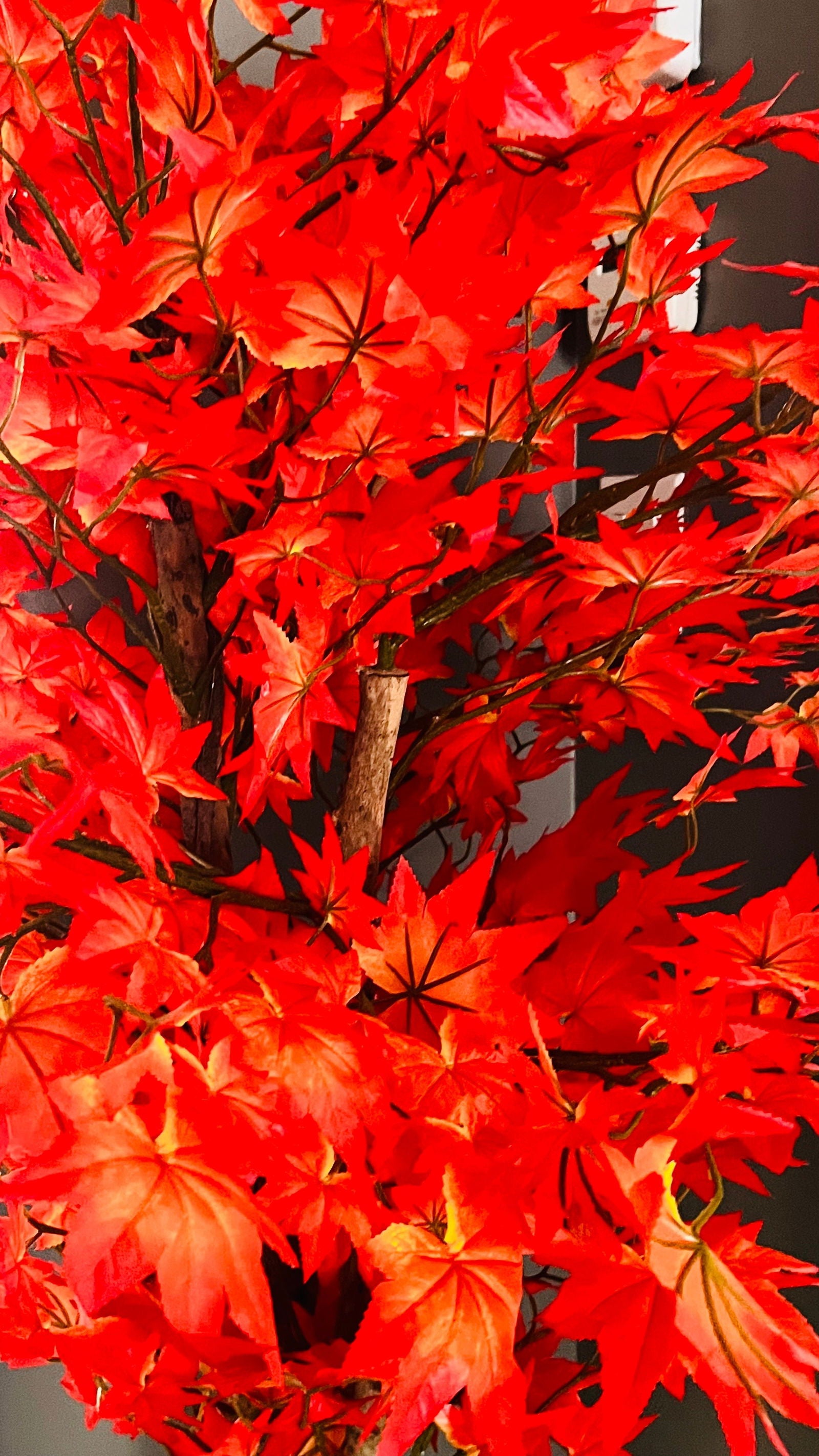 Multi Trunk Silk Maple Leaf Tree in Pot - Graceland Home and Living -  