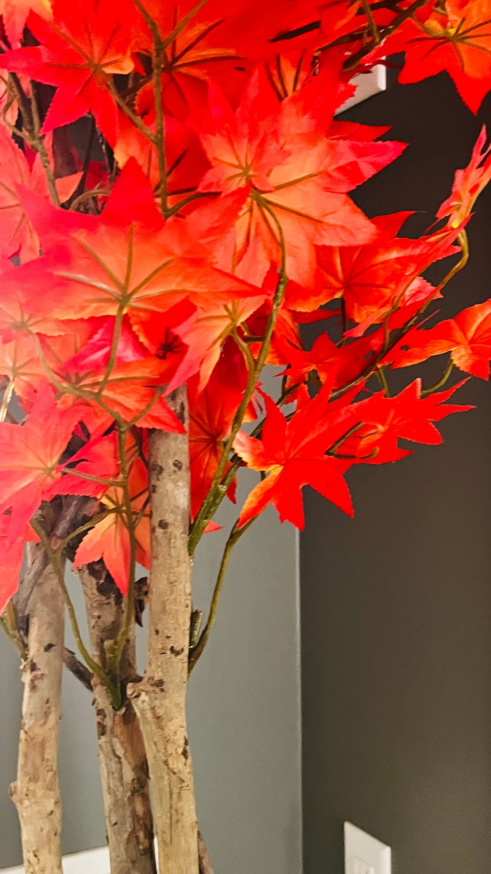 Multi Trunk Silk Maple Leaf Tree in Pot - Graceland Home and Living -  