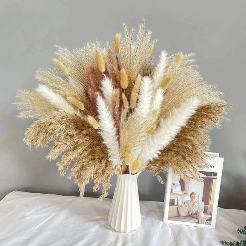Natural Dried Flowers Pampas Phragmites Rabbit Tail Grass Bouquet for Home Decor . - Graceland Home and Living -  