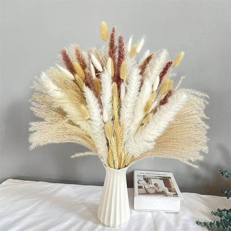 Natural Dried Flowers Pampas Phragmites Rabbit Tail Grass Bouquet for Home Decor . - Graceland Home and Living -  