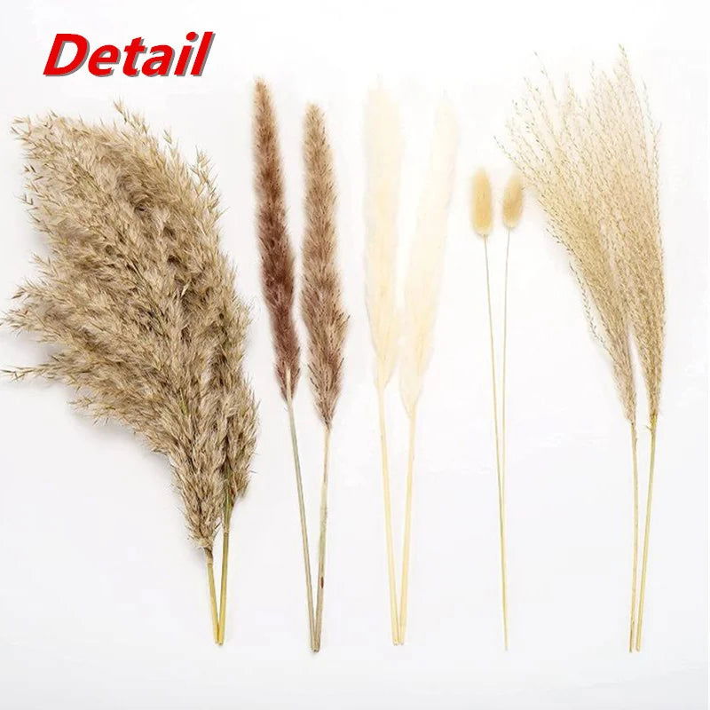 Natural Dried Flowers Pampas Phragmites Rabbit Tail Grass Bouquet for Home Decor . - Graceland Home and Living -  