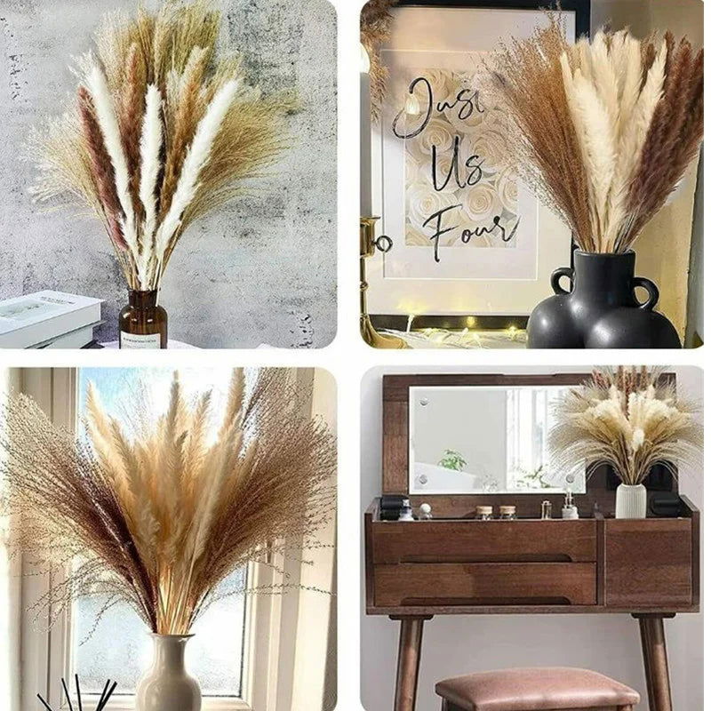 Natural Dried Flowers Pampas Phragmites Rabbit Tail Grass Bouquet for Home Decor . - Graceland Home and Living -  