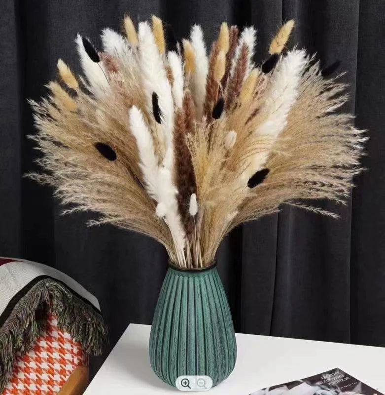 Natural Dried Flowers Pampas Phragmites Rabbit Tail Grass Bouquet for Home Decor . - Graceland Home and Living -  