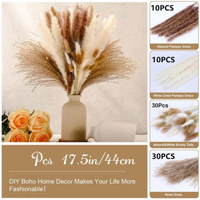 Natural Dried Flowers Pampas Phragmites Rabbit Tail Grass Bouquet for Home Decor . - Graceland Home and Living -  