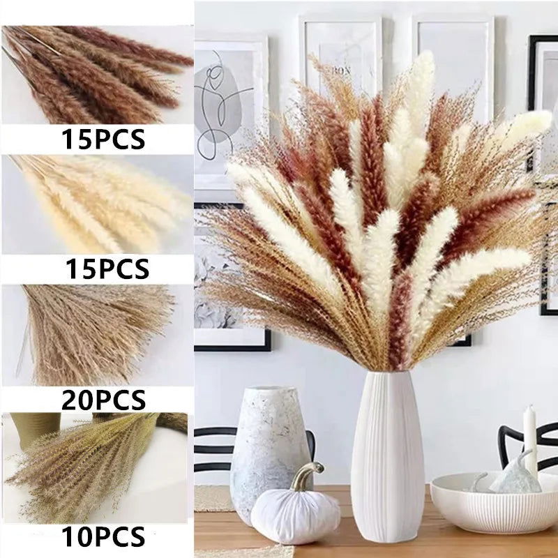 Natural Dried Flowers Pampas Phragmites Rabbit Tail Grass Bouquet for Home Decor . - Graceland Home and Living -  