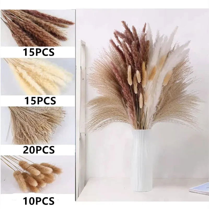 Natural Dried Flowers Pampas Phragmites Rabbit Tail Grass Bouquet for Home Decor . - Graceland Home and Living -  