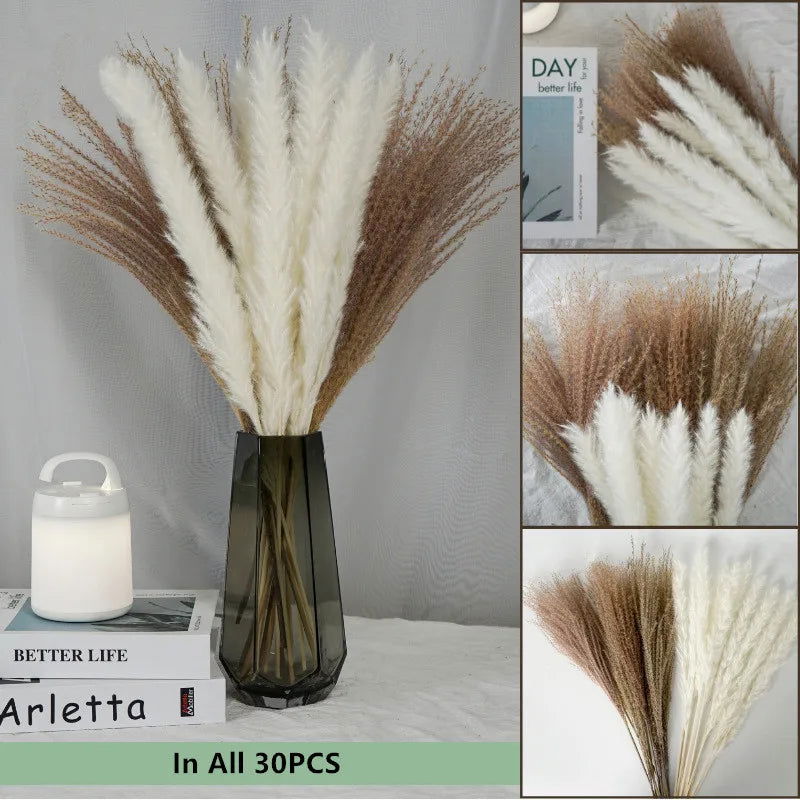 Natural Dried Flowers Pampas Phragmites Rabbit Tail Grass Bouquet for Home Decor . - Graceland Home and Living -  