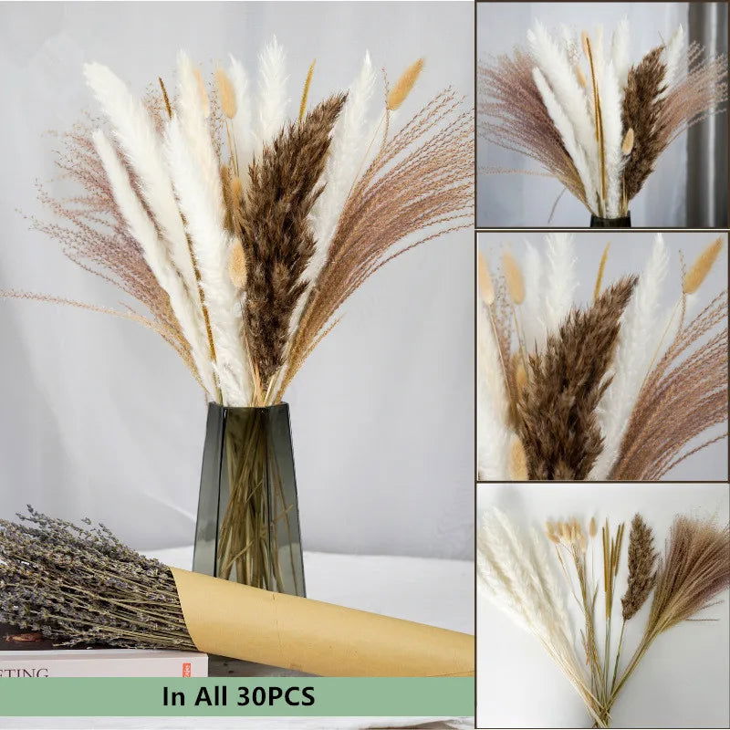 Natural Dried Flowers Pampas Phragmites Rabbit Tail Grass Bouquet for Home Decor . - Graceland Home and Living -  