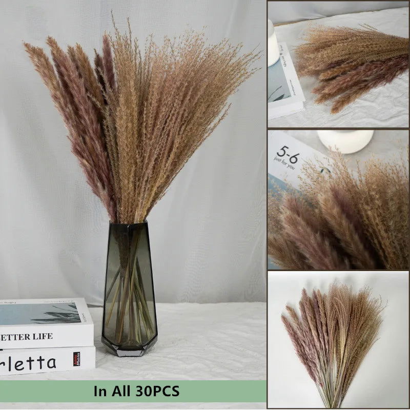 Natural Dried Flowers Pampas Phragmites Rabbit Tail Grass Bouquet for Home Decor . - Graceland Home and Living -  
