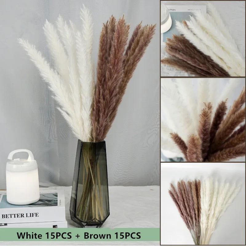 Natural Dried Flowers Pampas Phragmites Rabbit Tail Grass Bouquet for Home Decor . - Graceland Home and Living -  