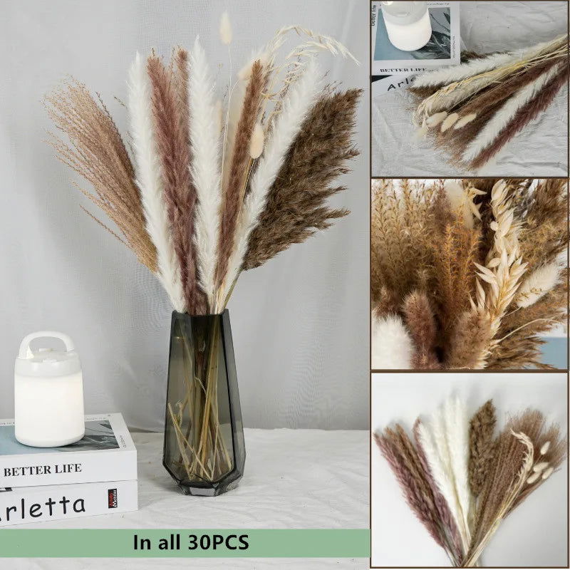 Natural Dried Flowers Pampas Phragmites Rabbit Tail Grass Bouquet for Home Decor . - Graceland Home and Living -  
