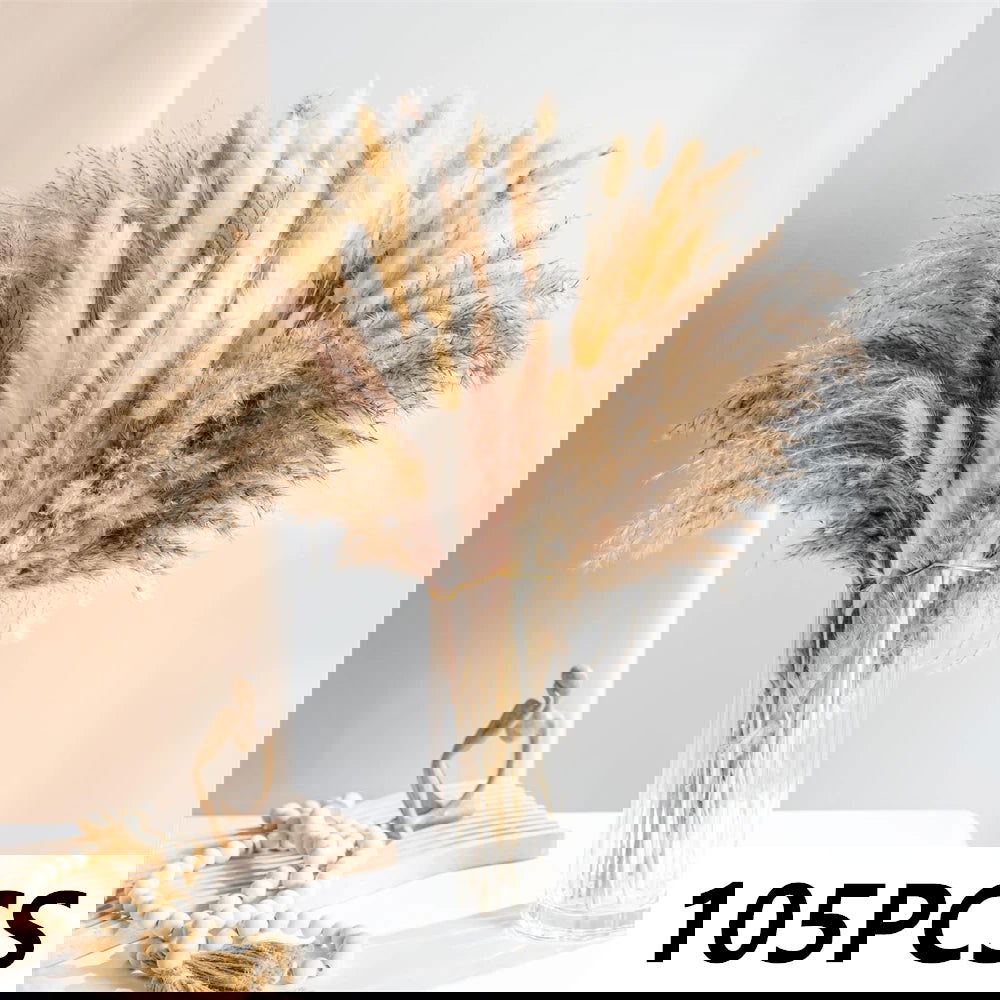 Natural Pampas Dried Flowers. Floral Bouquet For Home Vase Decoration - Graceland Home and Living -  