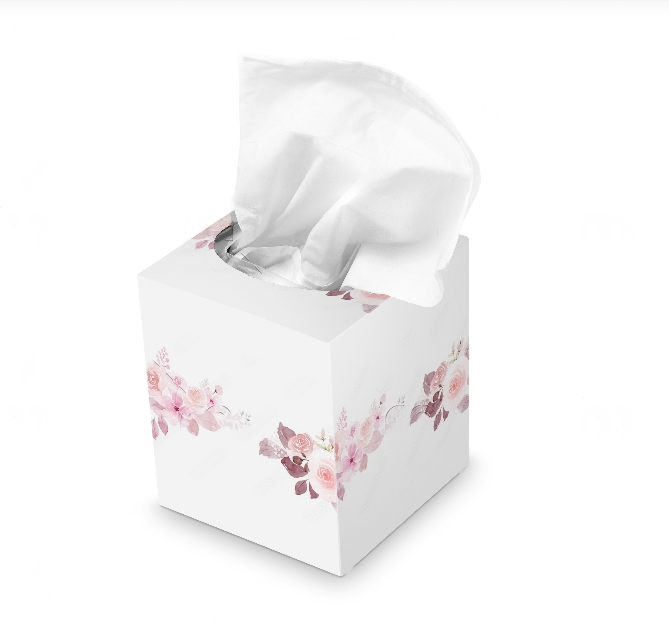 Olena  3 Ply Soft & Strong Facial Tissue, Hypoallergenic and Dermatologist Tested, 24 Boxes, 100 Tissues per Box - Graceland Home and Living -  