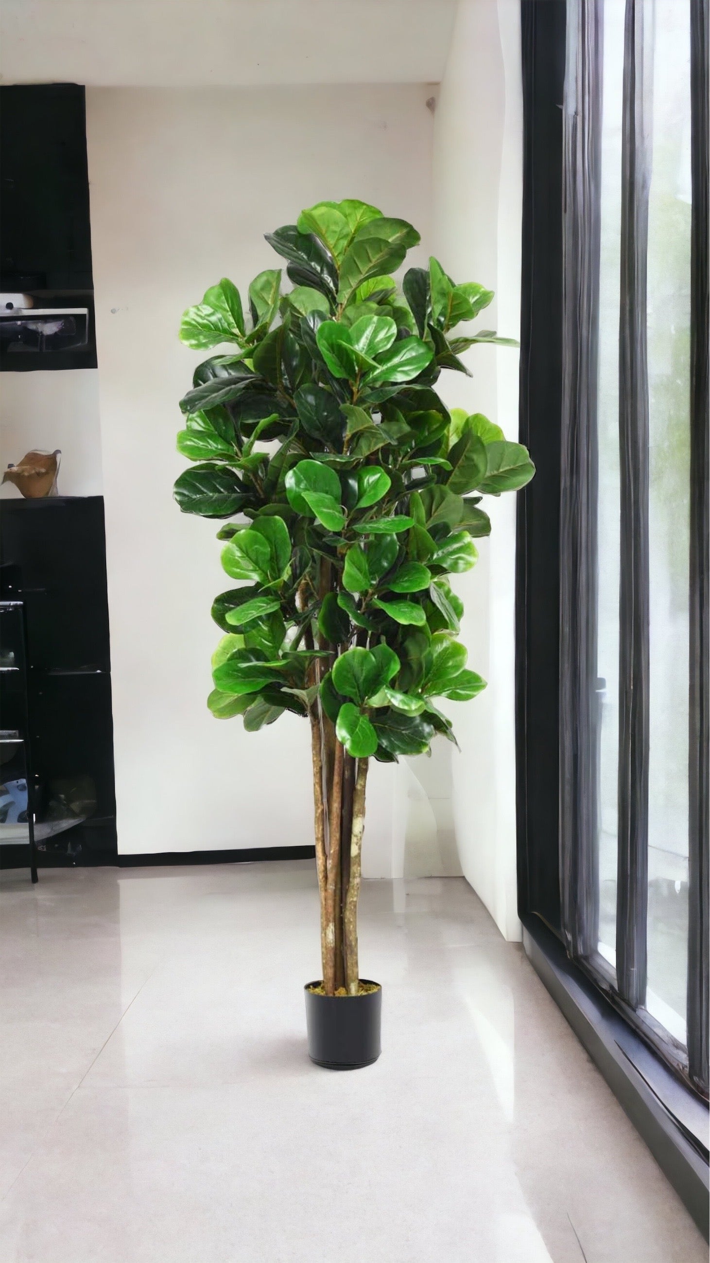 Fiddle Leaf Fig Tree for Indoor Decoration