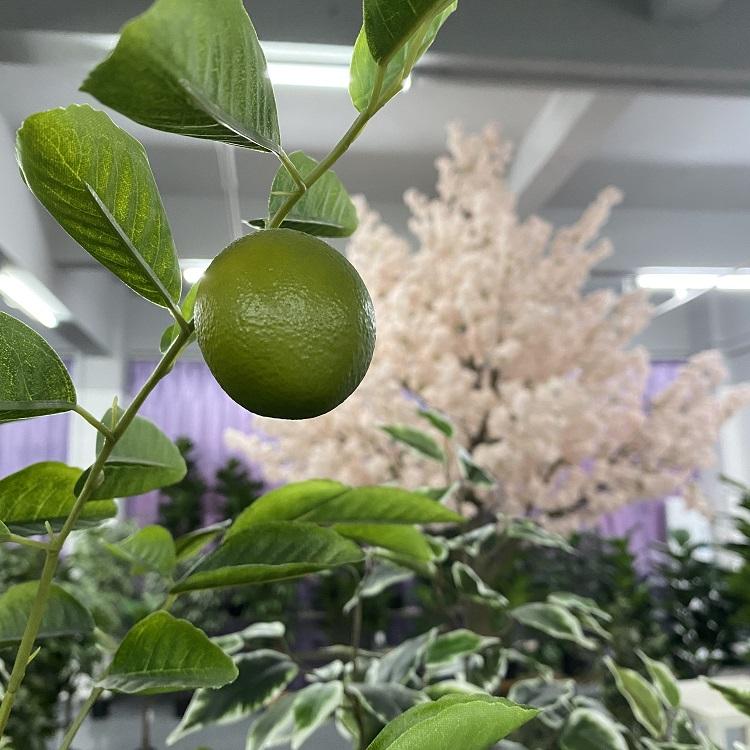 Plastic Home Decorative Fruit Tree Artificial Lemon Tree - Graceland Home and Living -  
