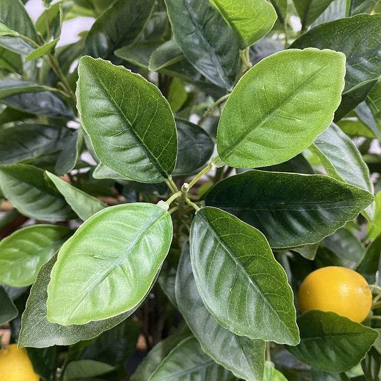 Plastic Home Decorative Fruit Tree Artificial Lemon Tree - Graceland Home and Living -  