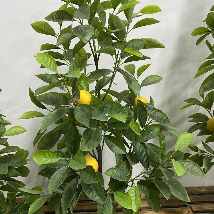 Plastic Home Decorative Fruit Tree Artificial Lemon Tree - Graceland Home and Living -  