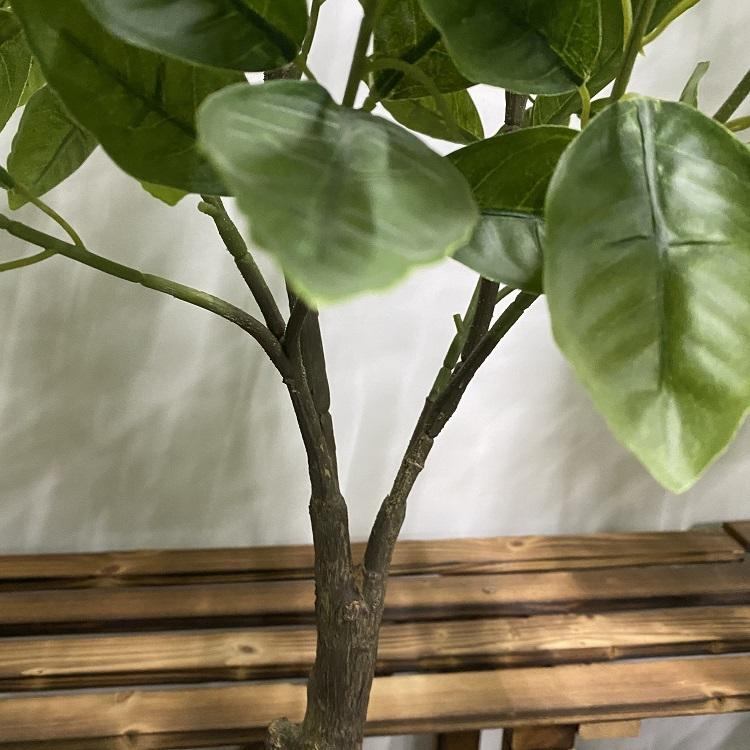 Plastic Home Decorative Fruit Tree Artificial Lemon Tree - Graceland Home and Living -  